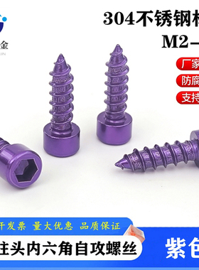 紫色304不锈钢圆柱头内六角自攻螺丝喇叭固定螺丝杯头尖尾木螺钉