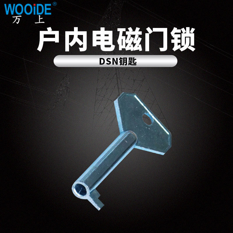 DSN钥匙户内电磁锁钥匙