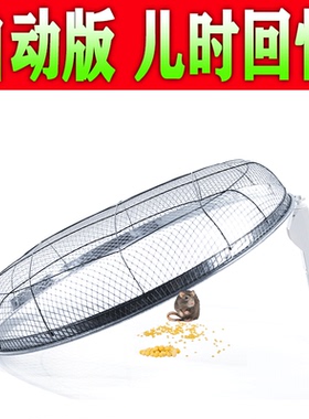 全自动智能感应收鸽子笼天落笼加密只进不出活自动撞门自动触发器