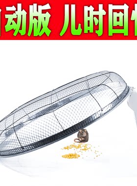 全自动智能感应收鸽子笼天落笼加密只进不出活自动撞门自动触发器