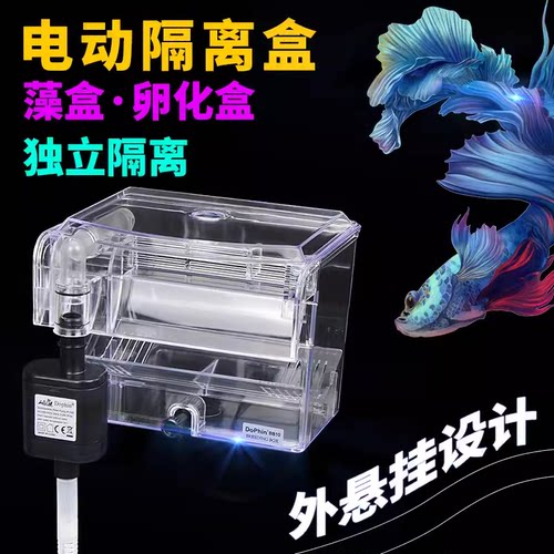 建荣bb10水泵外挂藻缸孔雀鱼