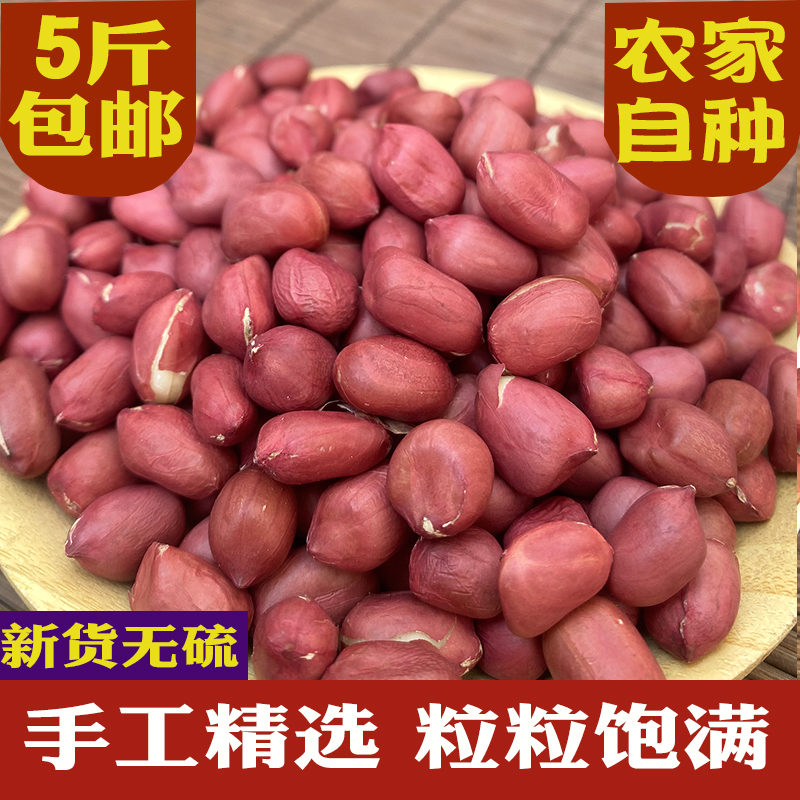 云南红衣花生红皮花生米新货500g散装小粒花生五红汤料5斤农家新