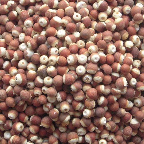 精选新芡实仁干货 鸡头米 野外生红芡天然的 无臭味 云南产