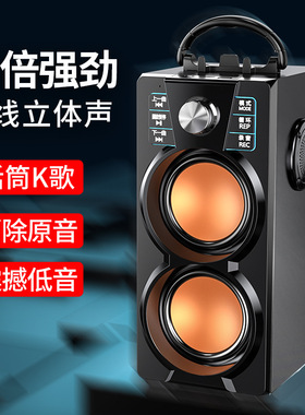 赛达A2户外蓝牙音箱广场舞手提音响k歌便携式重低音炮无线带话筒