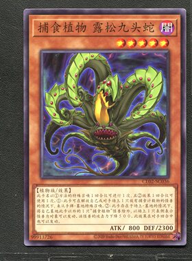 游戏王 正版卡牌 99913726 捕食植物 露松水螅龙 CL02-SC036 A02