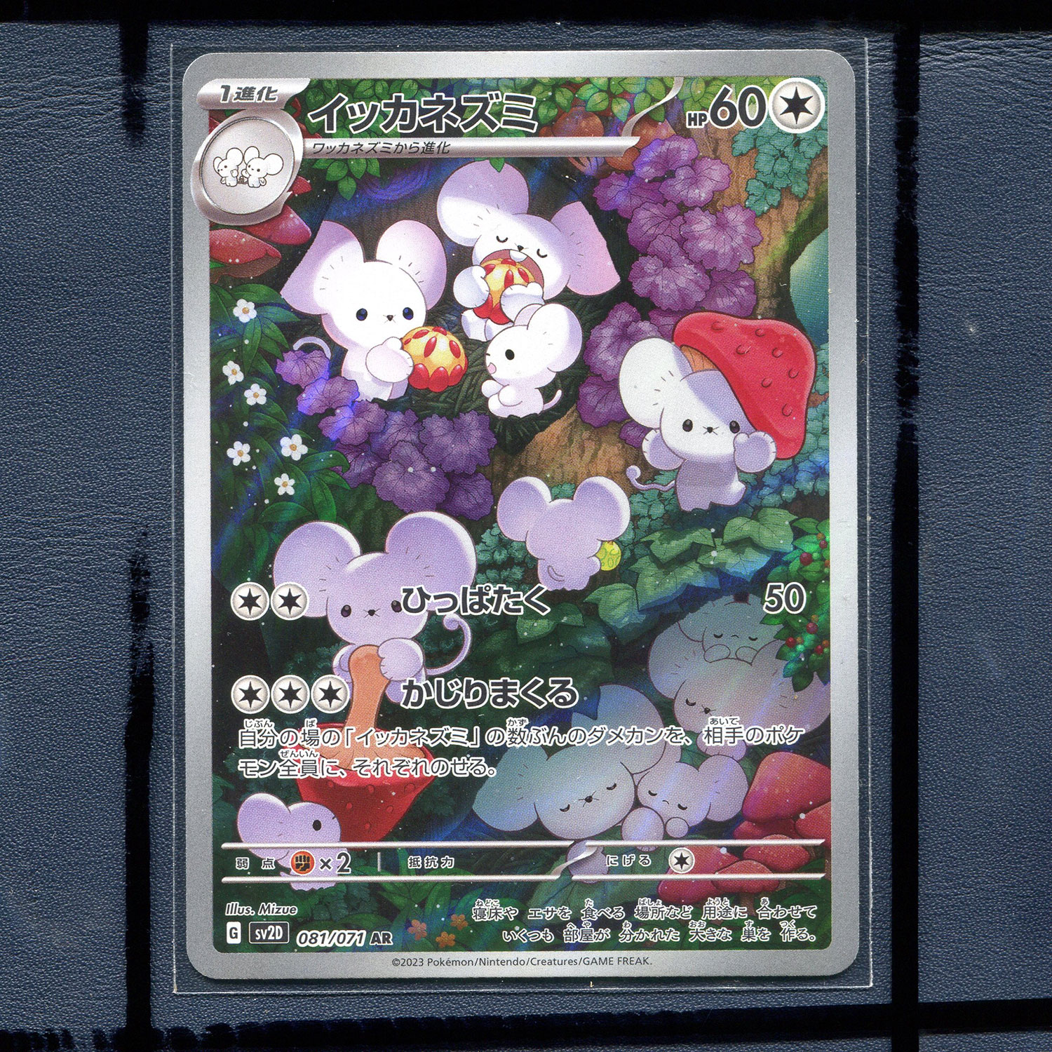 宝可梦PTCG  朱紫碟旋暴击AR正版卡牌 一家鼠 SV2D-081 日版