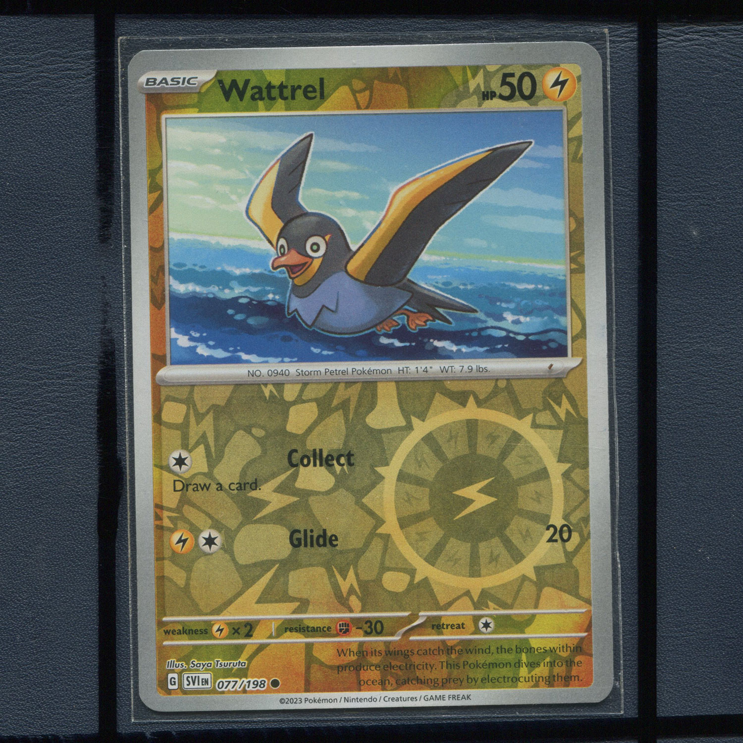 宝可梦美版英文版国际版 朱紫 电海燕 SVI-077 反闪