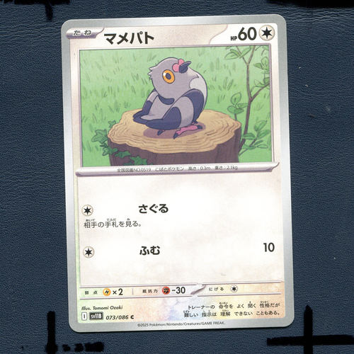 宝可梦PTCG正版卡牌 漆黑伏特 豆豆鸽 SV11B-073 日版