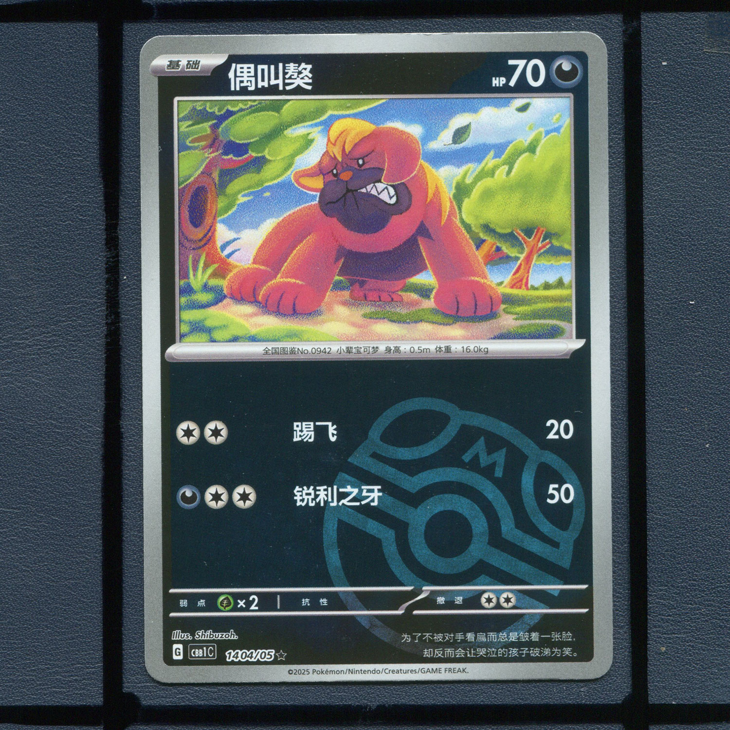 偶叫獒大师球CBB1C-1404宝可梦正版卡牌简中宝石包1弹