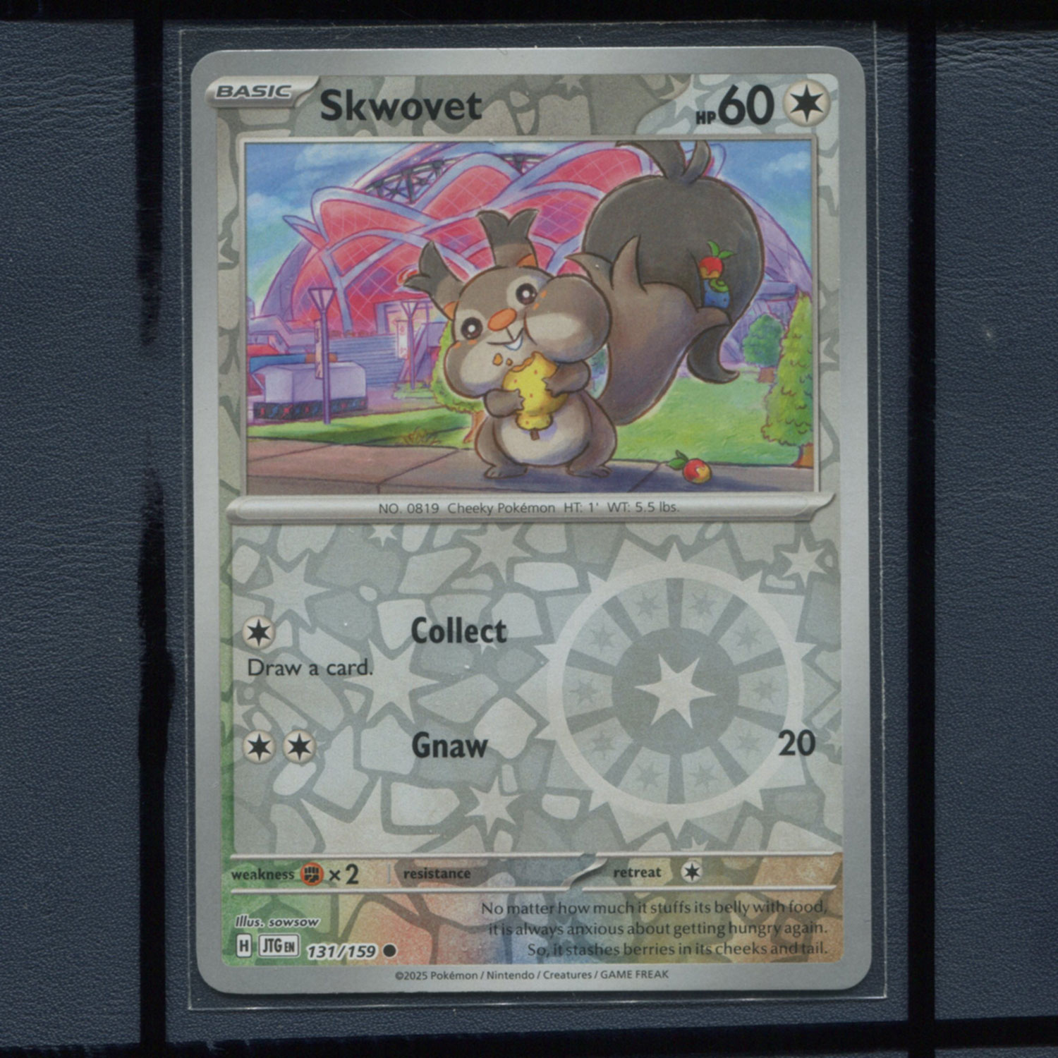 宝可梦美版英文版国际版 同行之旅 贪心栗鼠 JTG-131 反闪