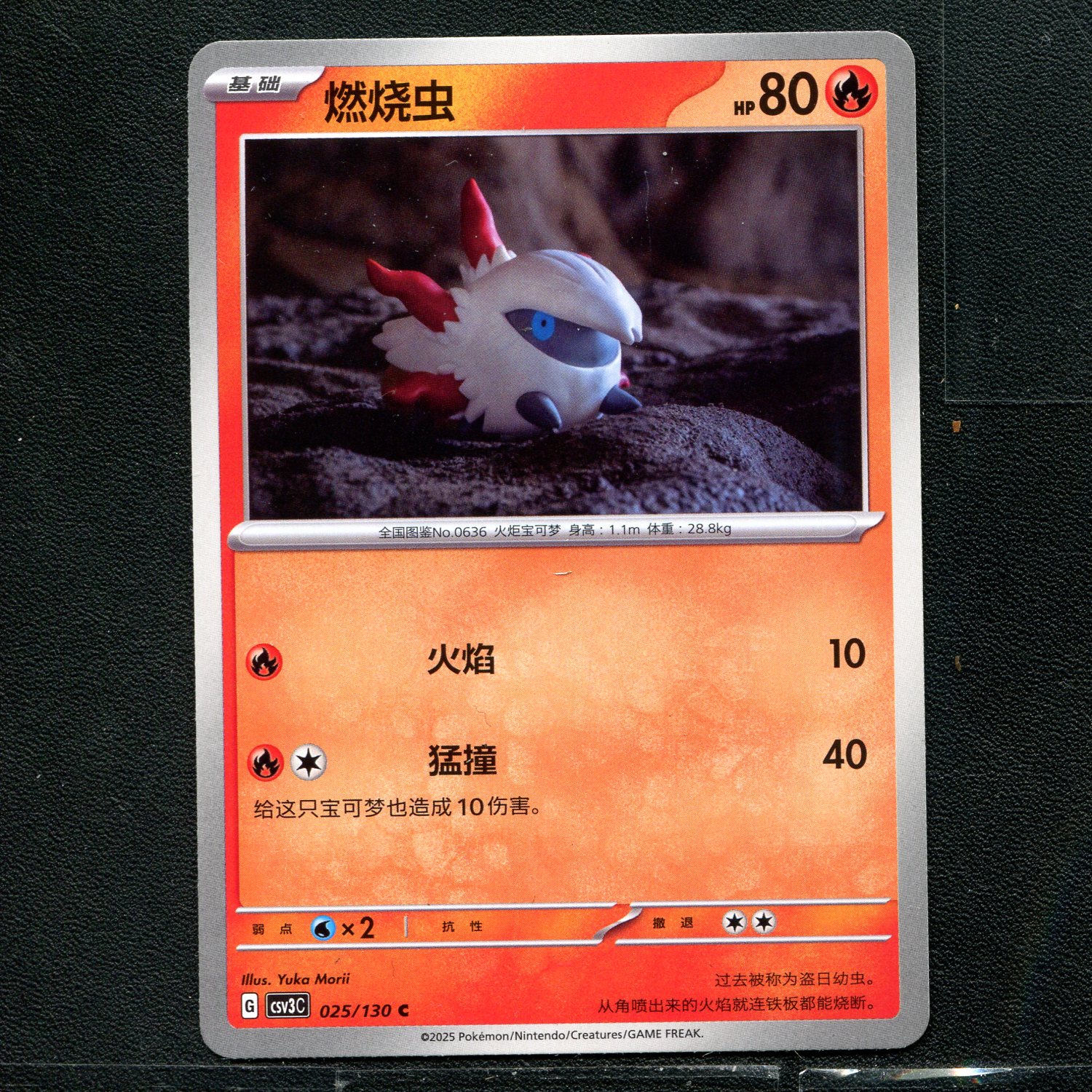 宝可梦TCG 正版卡牌 11.0无畏太晶 燃烧虫 CSV3C-025 简中图片