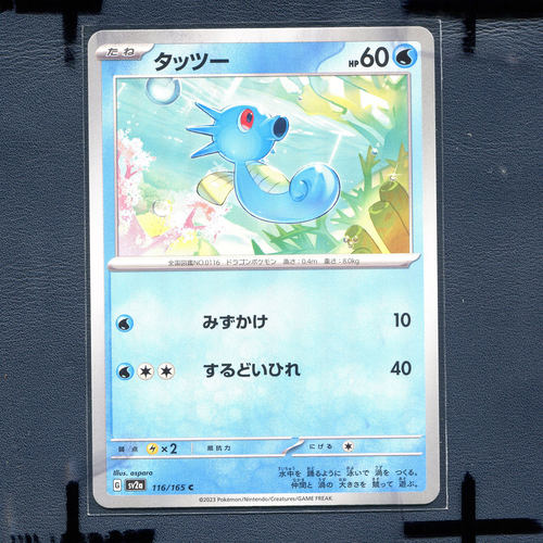 宝可梦PTCG 集换式正版卡牌朱紫151 墨海马 SV2A-116 日版