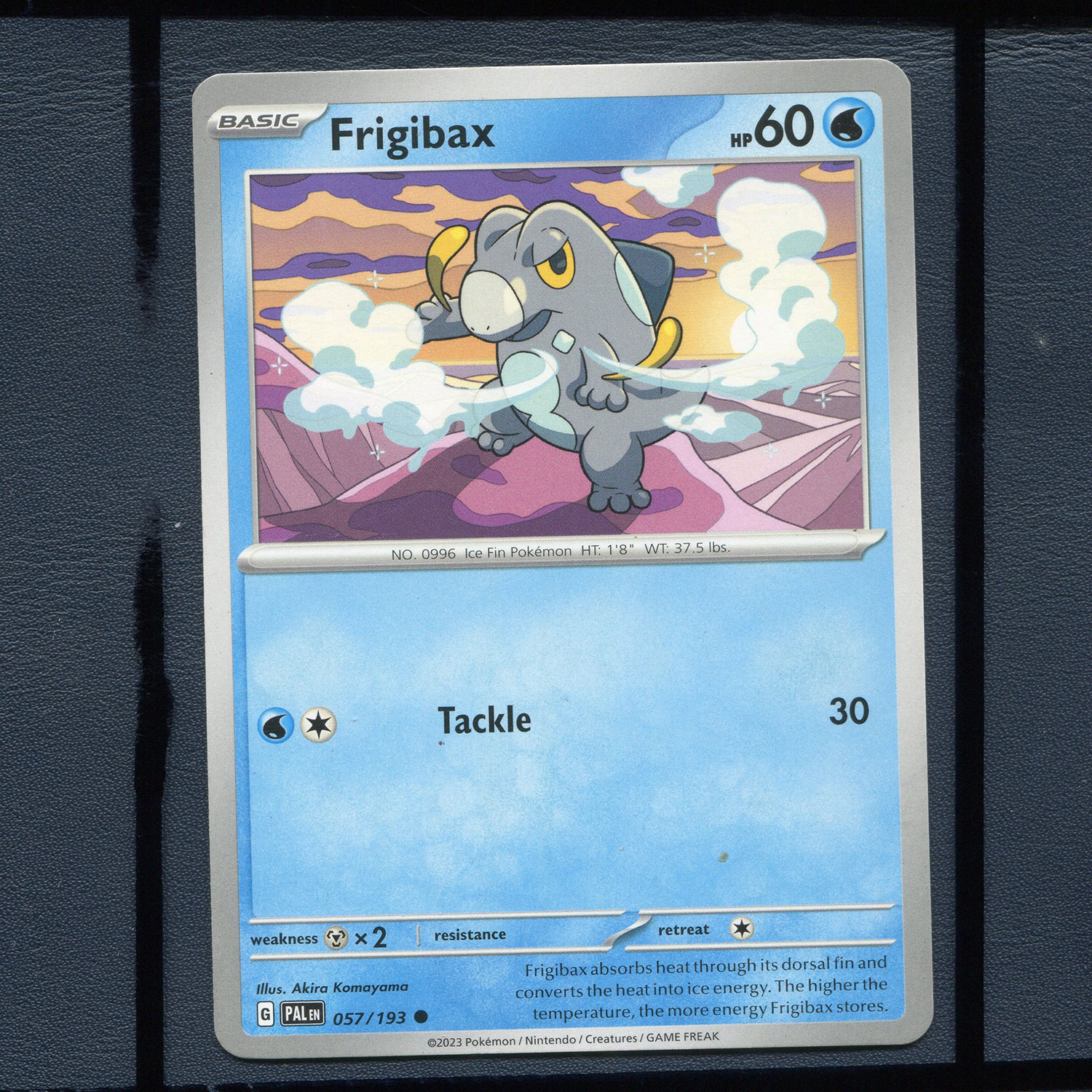 宝可梦美版英文版国际版 帕底亚进化 凉脊龙 PAL-057