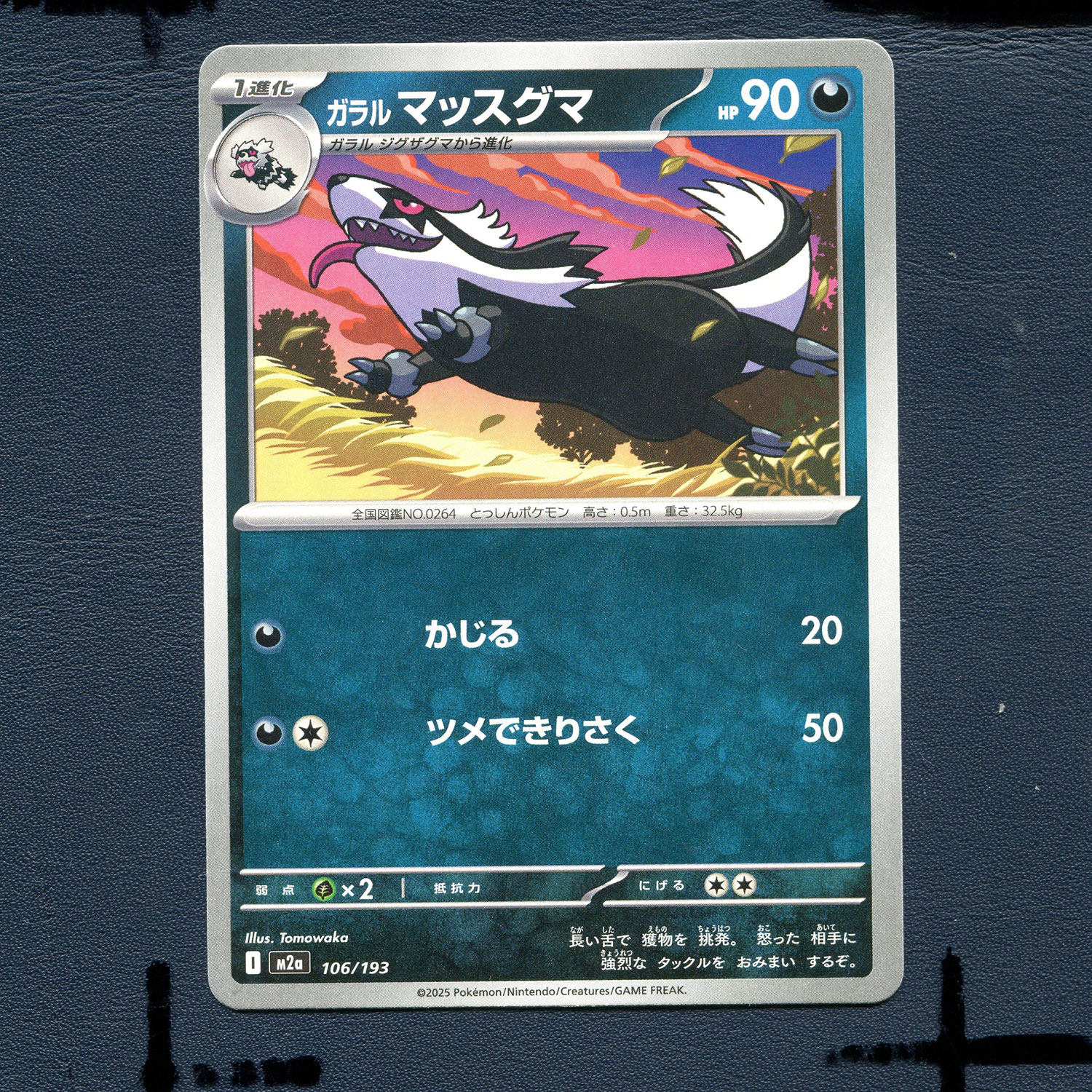 宝可梦PTCG正版卡牌 超级梦想EX 迦勒尔直冲熊 M2A-106 日版