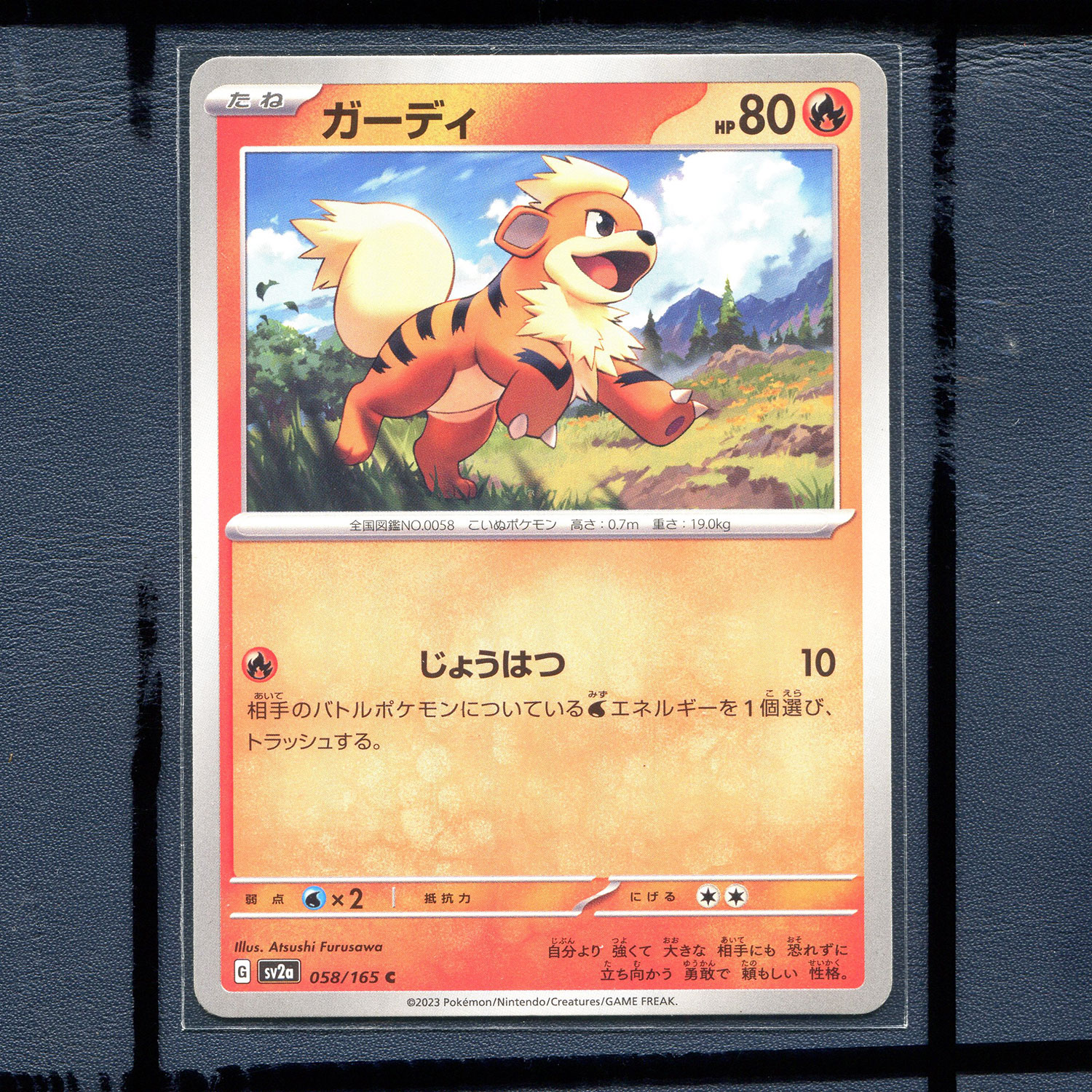 宝可梦PTCG 集换式正版卡牌朱紫151 卡蒂狗 SV2A-058 日版