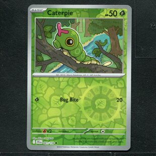 宝可梦 正版卡牌 英文版 同行之旅 绿毛虫 JTG-001反闪 美版