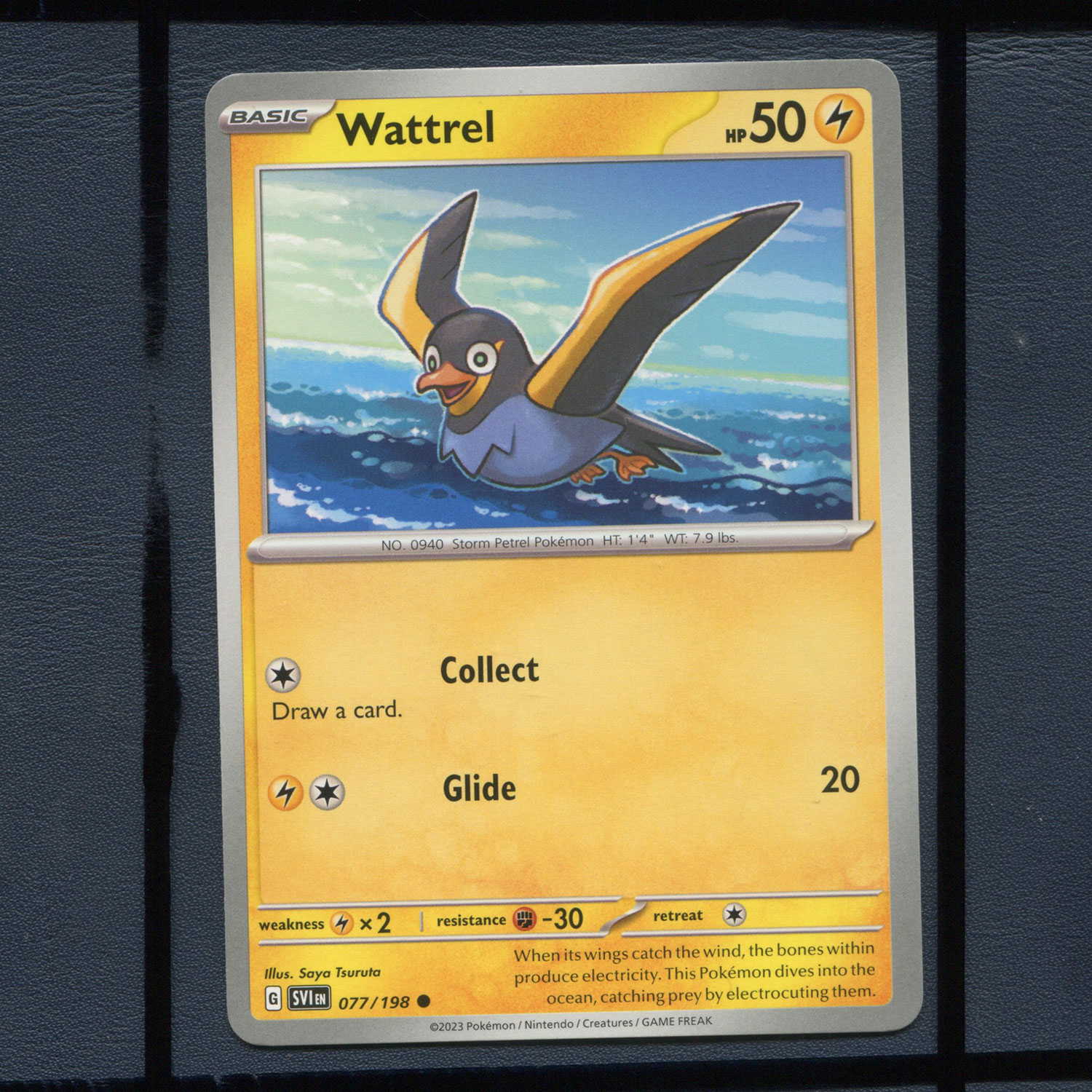 宝可梦美版英文版国际版 朱紫 电海燕 SVI-077