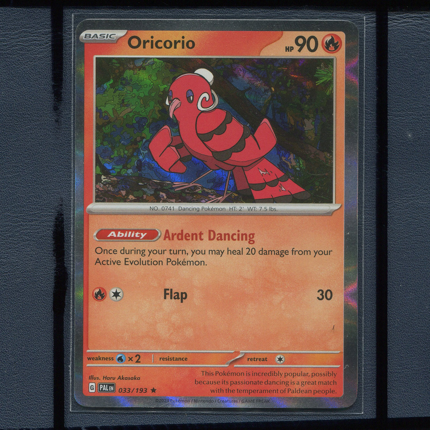 宝可梦美版英文版国际版 帕底亚进化 花舞鸟 PAL-033