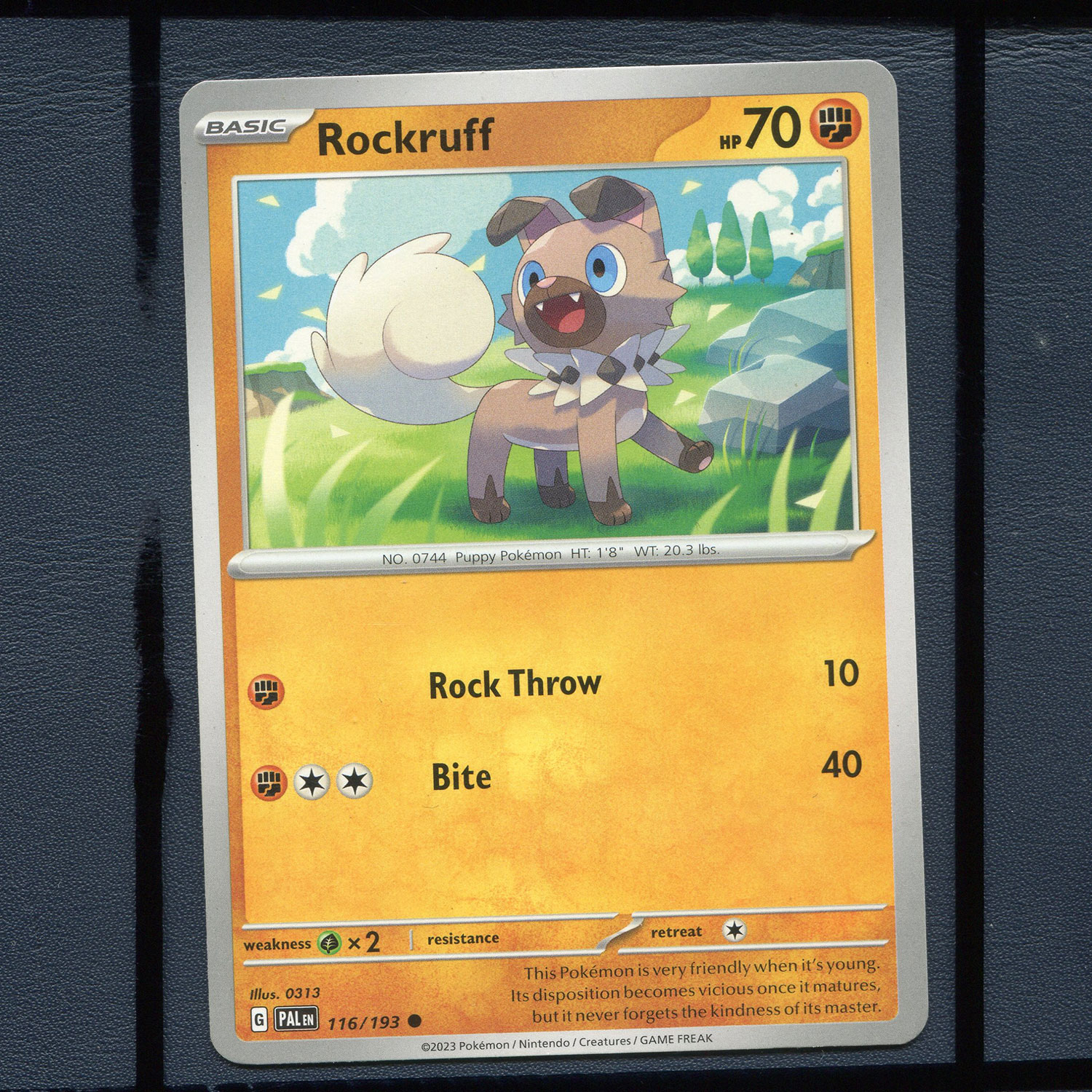 宝可梦美版英文版国际版 帕底亚进化 岩狗狗 PAL-116