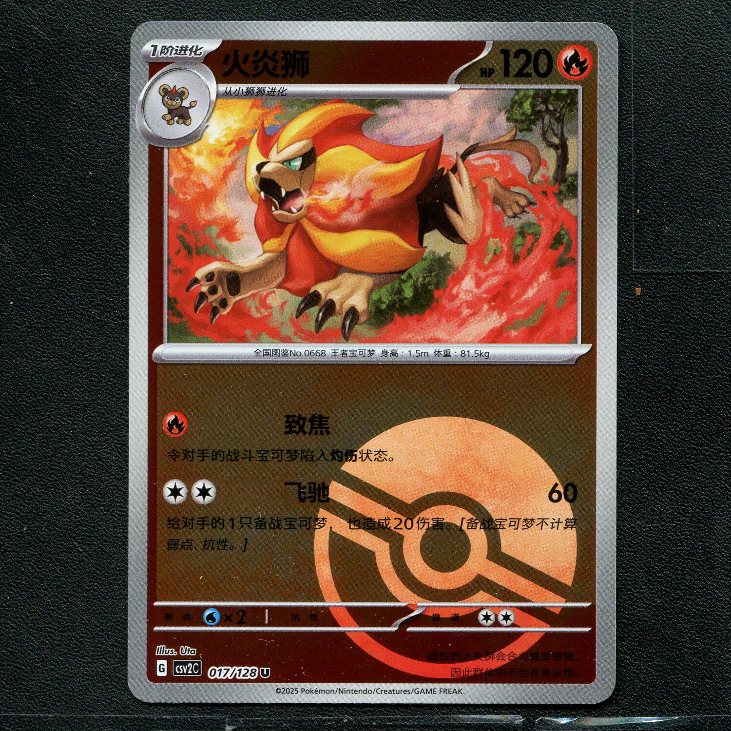 宝可梦TCG 正版卡牌 10.0奇迹启程 火炎狮 CSV2C-017 球闪 简中