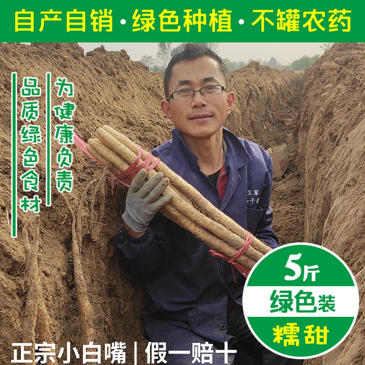 綠色種植河北正宗小白嘴山藥