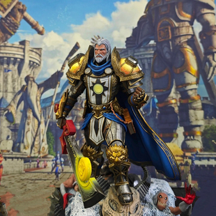 【头哥】魔兽世界手办人类圣骑士审判T2光明T6T10大元帅黄金挑战