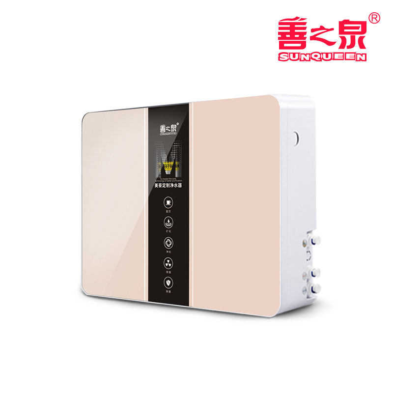 正品善之泉净水器家用自来水过滤