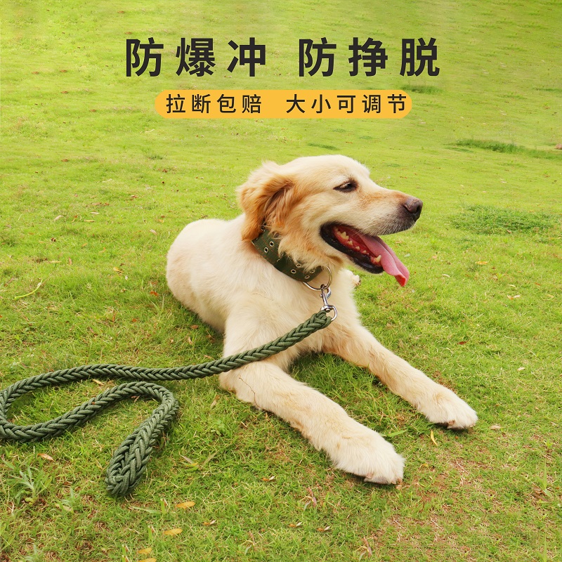 狗狗牵引绳狗绳子小型中型大型犬遛狗绳金毛柯基泰迪链子宠物用品