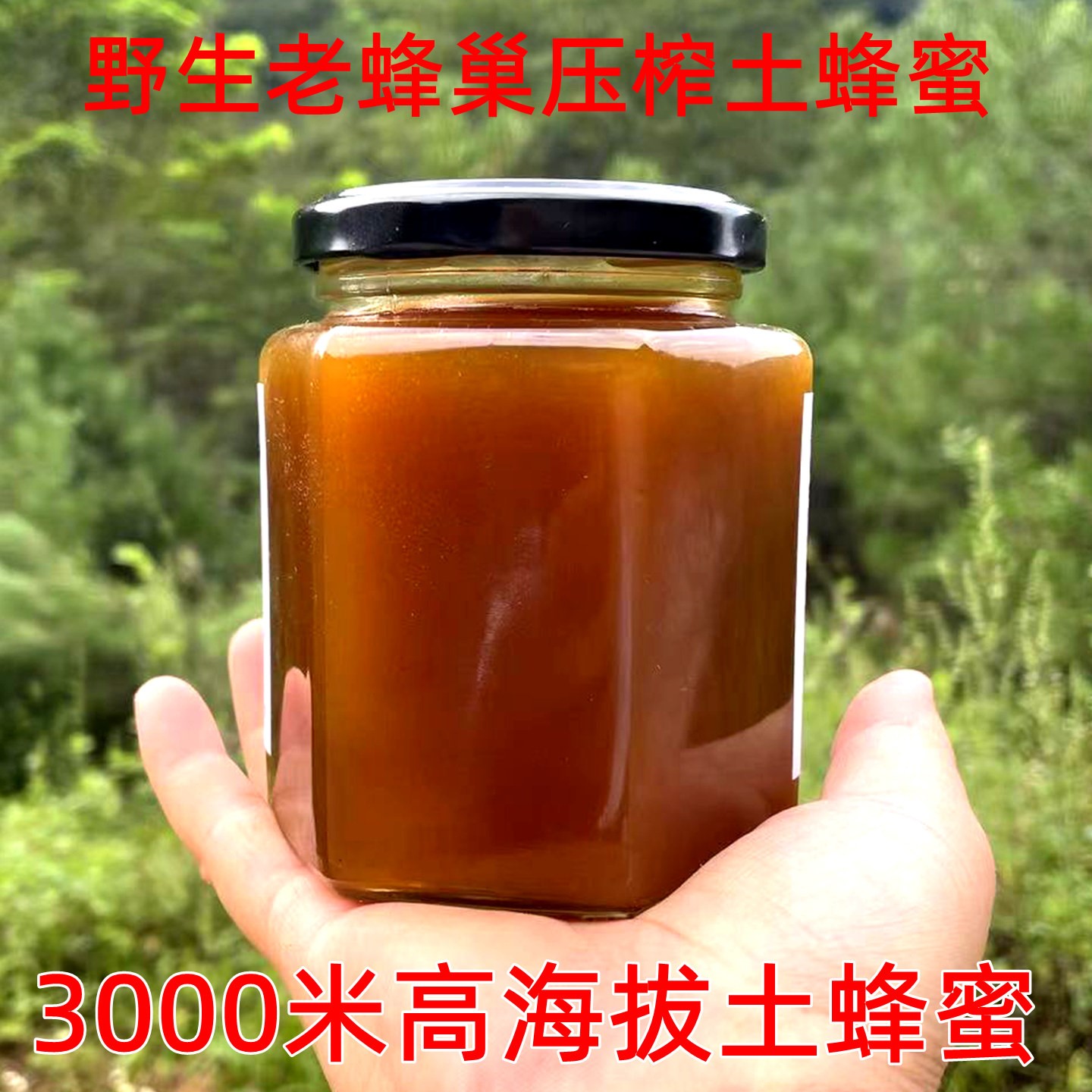 秦岭土蜂蜜纯正天然大山纯野生真蜂蜜留坝农家野花蜂蜜高海拔冬蜜