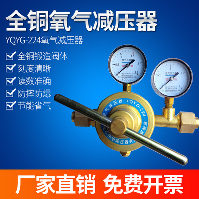 YQYG-224氧气点阀箱用减压器