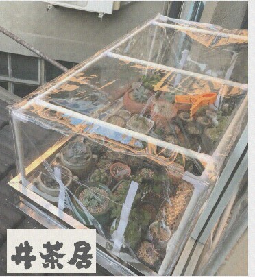 阳台挡雨棚 暖房花架-温室暖房多肉暖棚 个性定做迷你温棚2套包邮|ruв категории доставка цветов/цветок моделирования/растения садоводства, садовых принадлежностей, других садовых принадлежностей - от Buy2taobao.com для оказания профессиональной услуги покупки агента Taobao