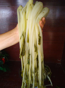 腌白菜安徽特产酸腌菜长杆白菜广水高杆白菜剑梗白菜农家大缸咸菜