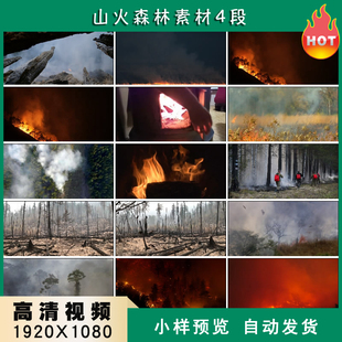 山火森林野火护林员森林消防员灭火高清实拍视频素材