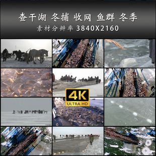 查干湖 冬捕 收网 鱼群 冬季 刨冰捕鱼 4K 高清 实拍 视频 素材