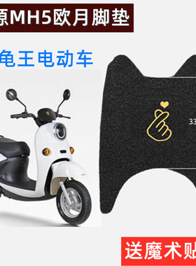 绿源MH5欧月MYH2韵驰ZBL小天牛MCD电动车脚垫防水防滑小龟王