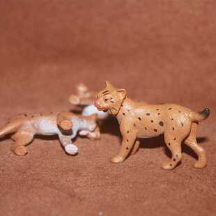 safari散货仿真野生动物模型塑料玩具 野猫 美州短尾山猫