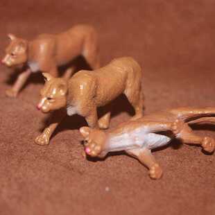 山狮 safari 美洲狮 场景摆件 美洲金猫 仿真野生动物模型玩具