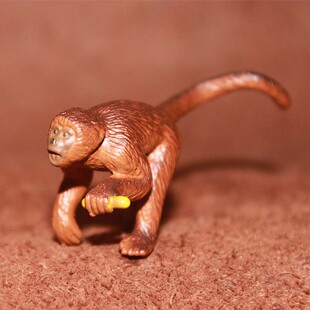 safari 卷尾猴 仿真野生动物模型玩具