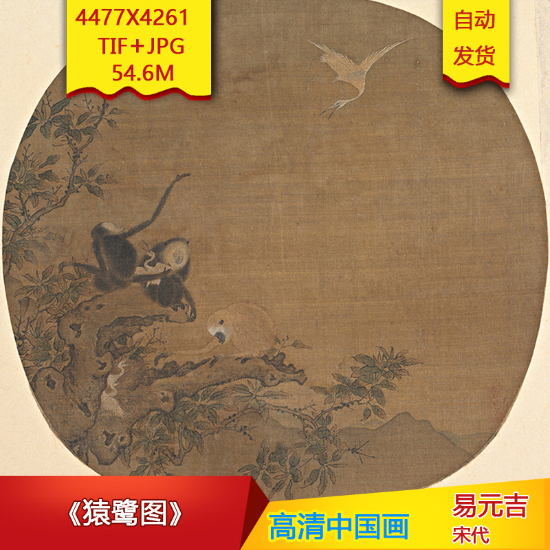 《猿鹭图》宋代易元吉作品4477X4261像素高清国画装饰素材