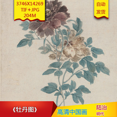 《牡丹图》明代陆治作品高清国画电子图片装饰画芯素材