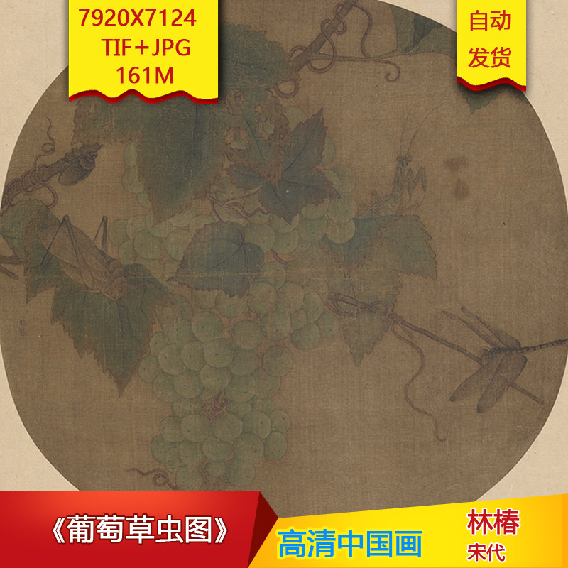 《葡萄草虫图》宋代林椿作品7920x7124像素高清国画素材