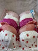 75E日韩内衣文胸有无钢圈聚拢刺绣蕾丝多扣无插垫杂款 大码