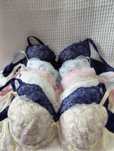 70C日韩内衣文胸有无钢圈聚拢刺绣蕾丝多扣无插垫杂款 大码