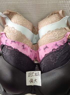 大码42/95D欧码偏大内衣文胸有钢圈聚拢刺绣蕾丝多扣无插垫杂款