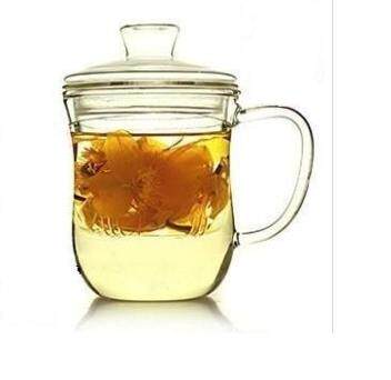 耐热玻璃茶具带盖玻璃杯淑女杯透明三件杯过滤花茶杯花草杯办公杯
