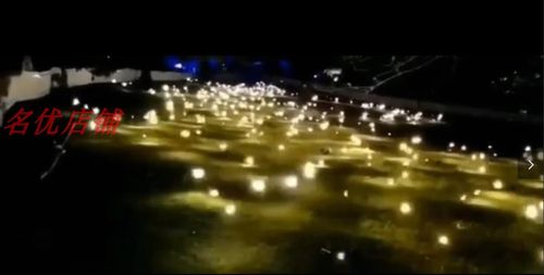 LED户外草坪仿真亮化灯