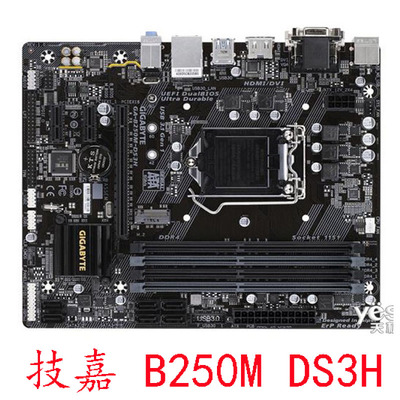 Gigabyte/技嘉B250M-DS3HM.2