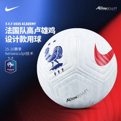Nike法国足球5号训练比赛专用球