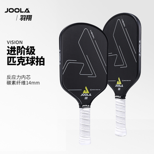 JOOLA优拉匹克球拍儿童青少年进阶Vision系列匹克球拍板碳纤维
