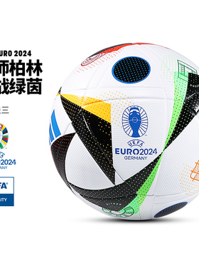 Adidas阿迪达斯足球欧洲杯5号比赛训练热粘合成人用球IN9367